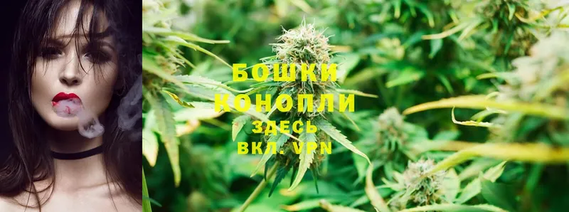 Бошки марихуана OG Kush  MEGA маркетплейс  Валдай 